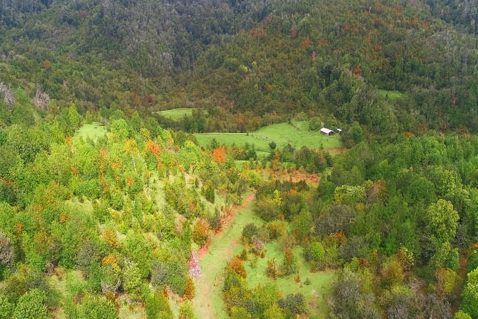 Campo Yerbas Buenas5