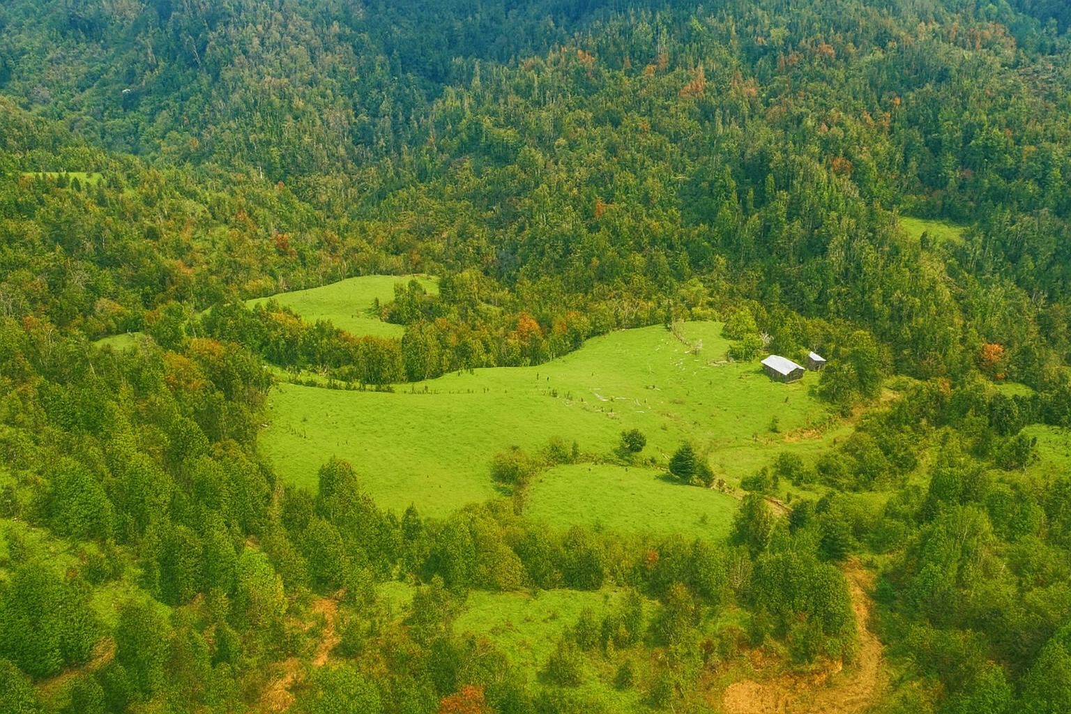 Campo Yerbas Buenas6