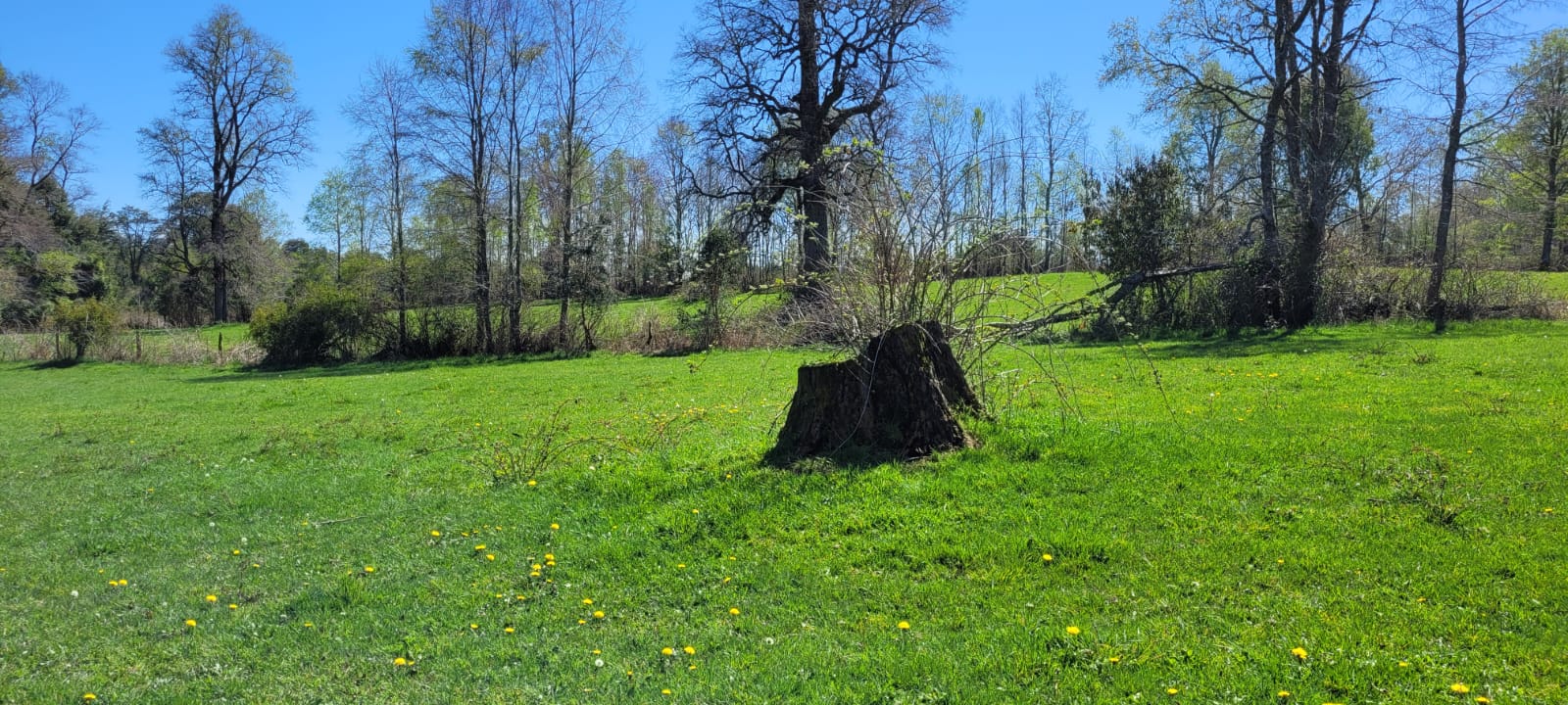 IMG-20241009-WA0012