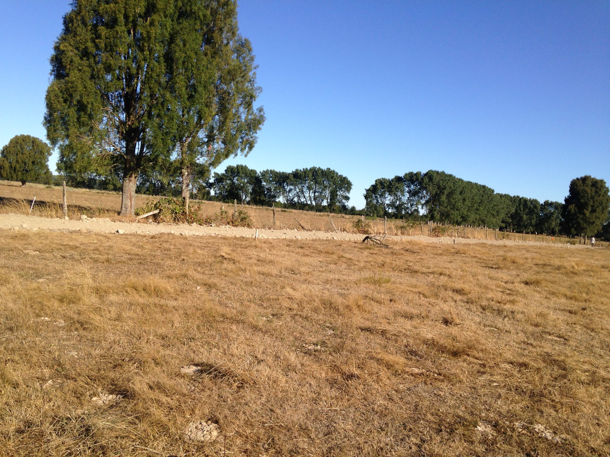 fundo porvenir 3